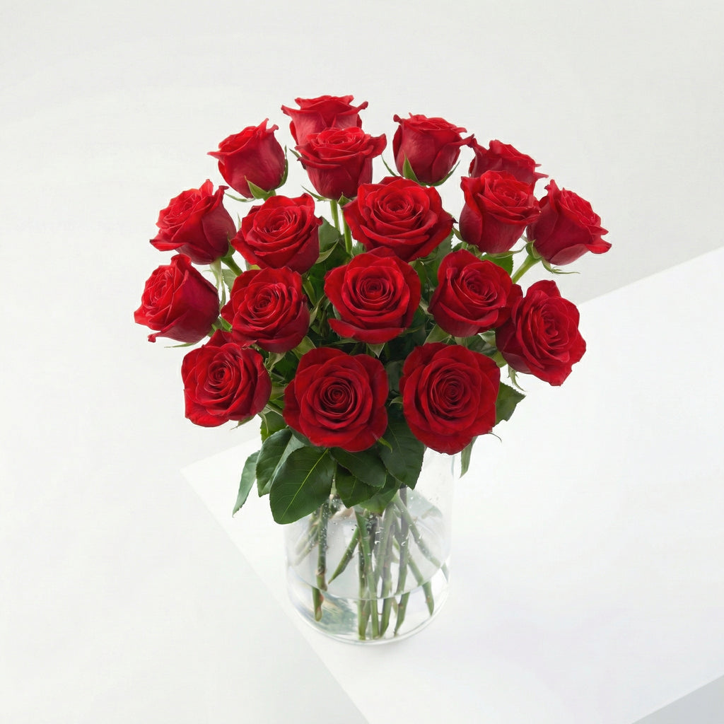 Pack 150 Roses: L'Imprescindible