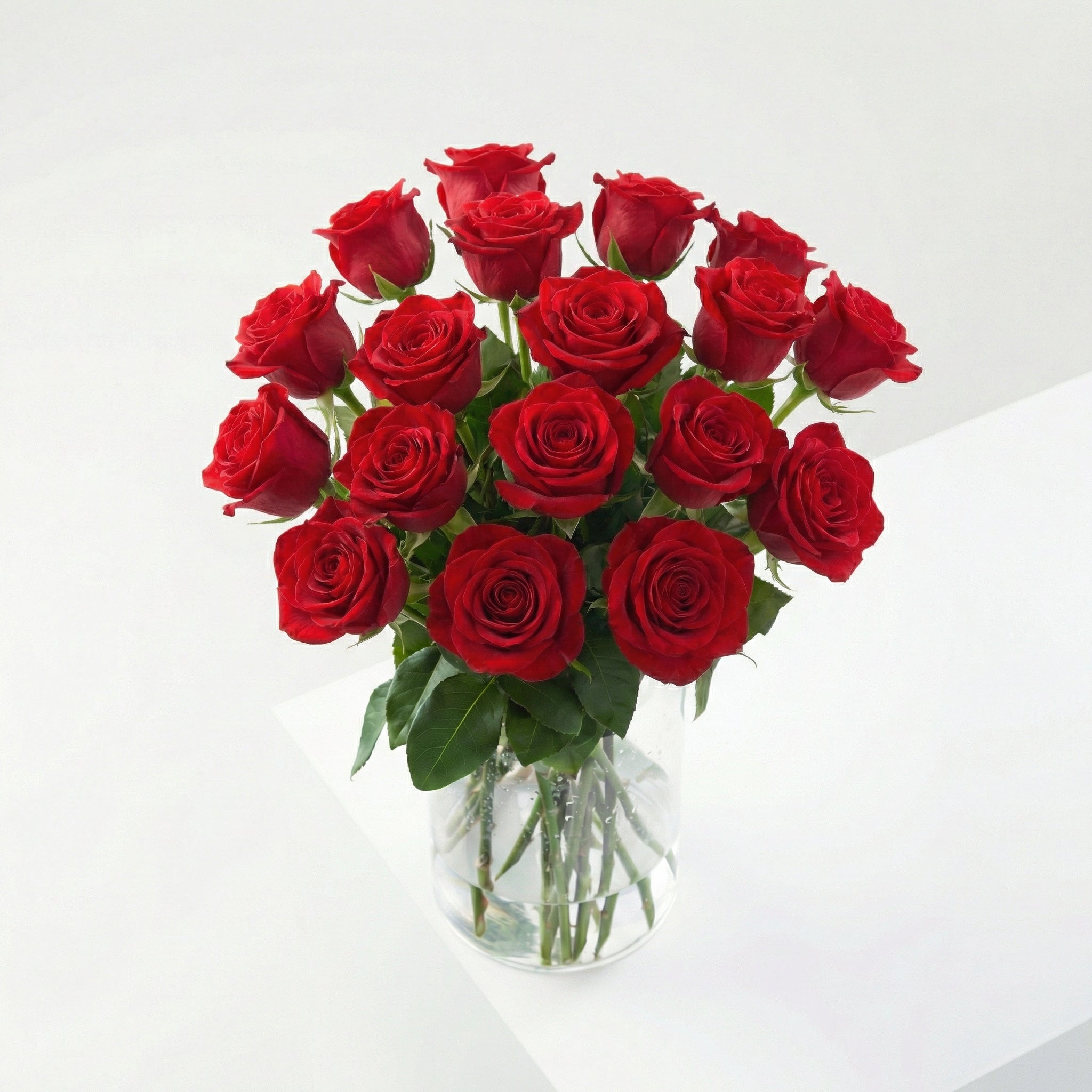 Pack 150 Roses: L'Imprescindible