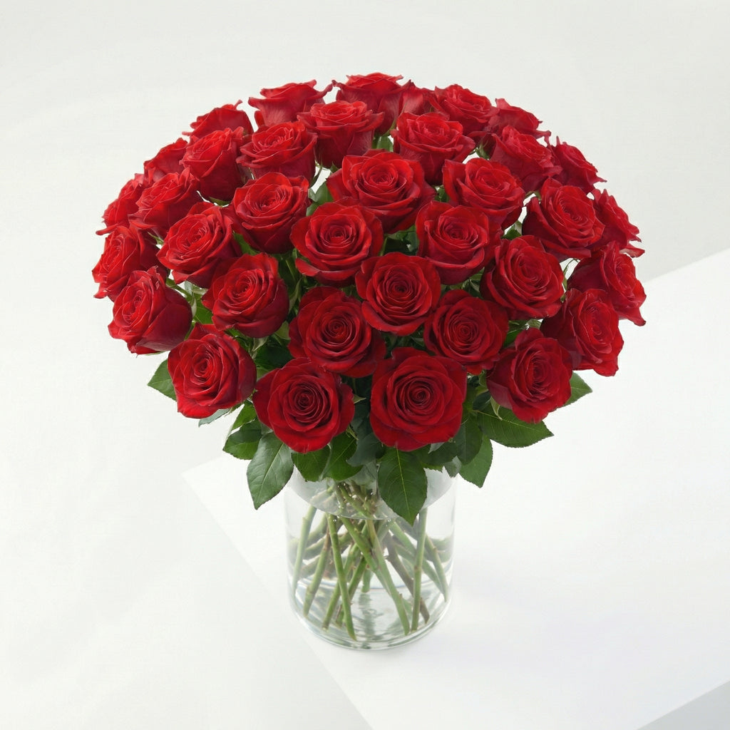 Pack 250 Roses: L'Aposta Segura