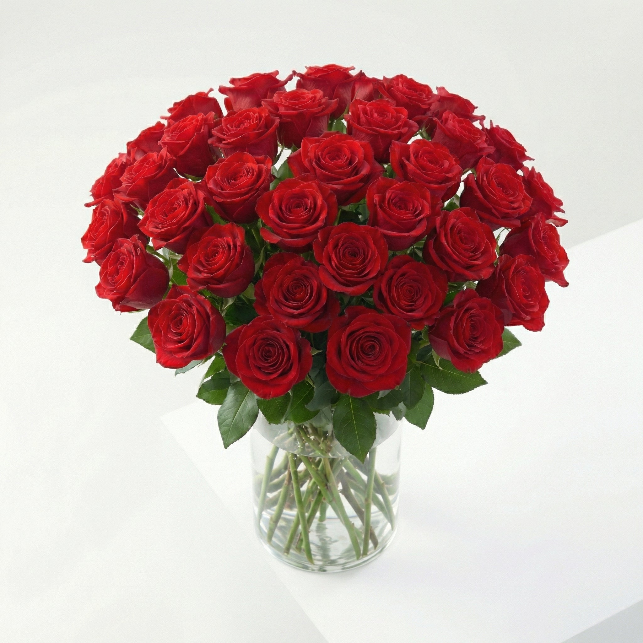 Pack 250 Roses: L'Aposta Segura